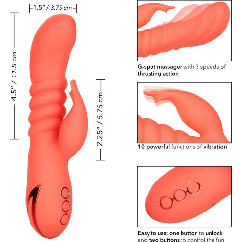 CalExotics® California Dreaming - Cutie du comté d'Orange - Orange image 2