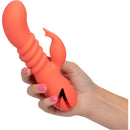CalExotics® California Dreaming - Cutie du comté d'Orange - Orange image 3
