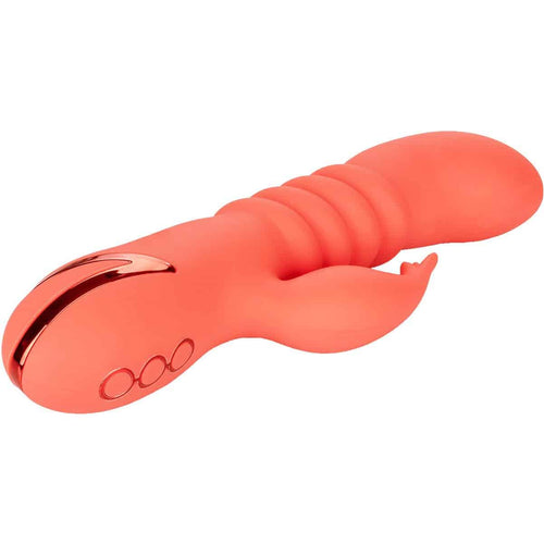CalExotics® California Dreaming - Cutie du comté d'Orange - Orange image 1