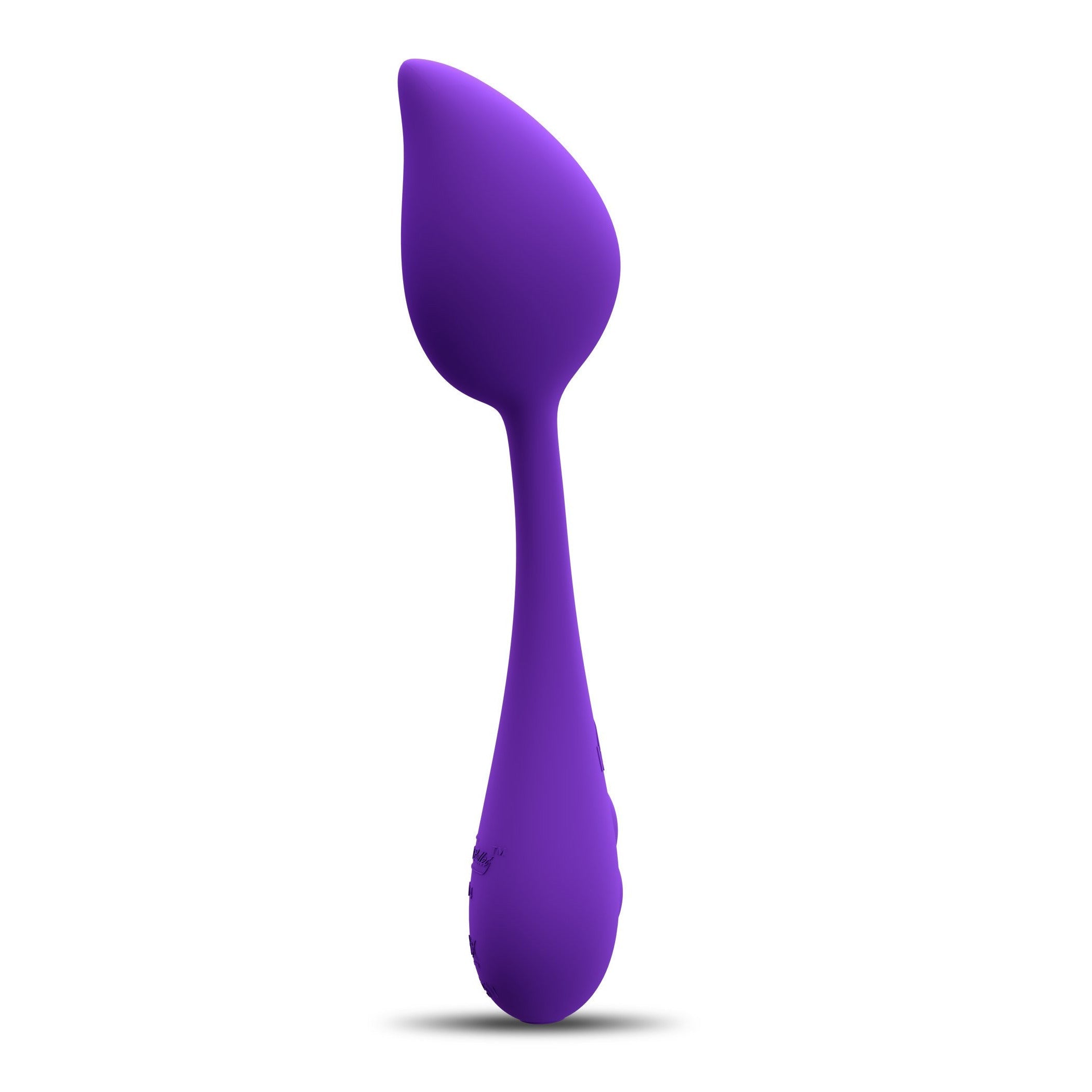 Feuille de cygne+ Bloom+ Violet