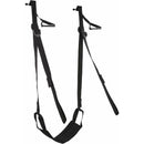 Feuilles de sport Jam de porte Sex Swing image 0