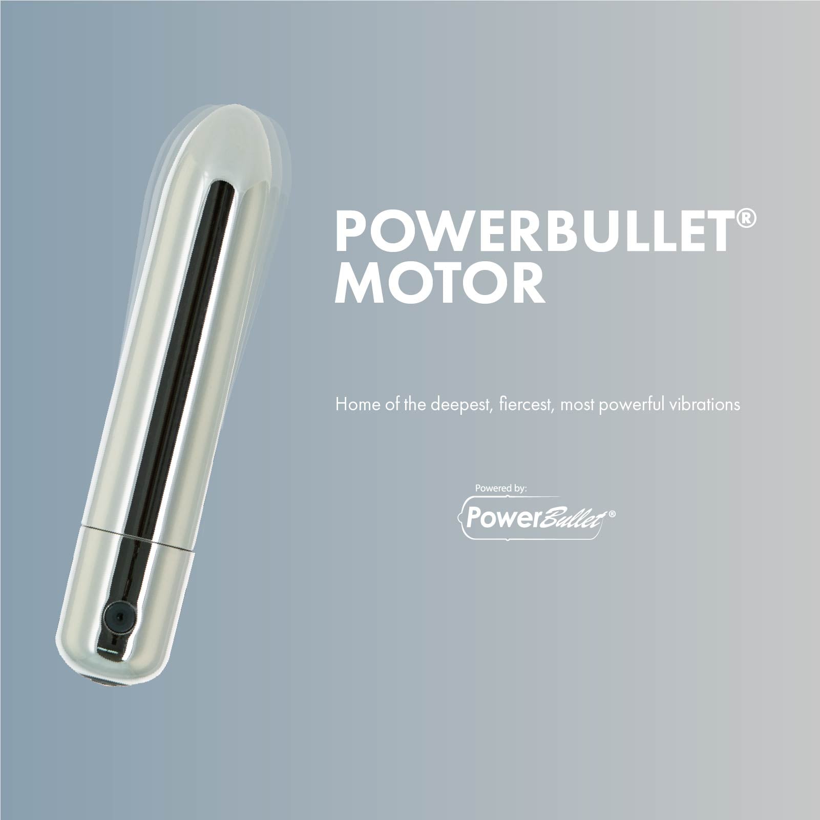 Pure Love® - Bullet de recharge Platinum 4" image 4