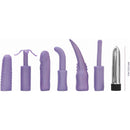 PGL Dirty Dozen - Jouet sexuel Trousse Pourpre image 1