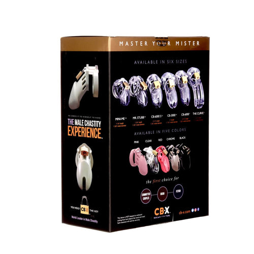 CB-6000 Chrome Appareil de chasteté Homme image 2