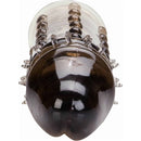 Extension d'Adonis CalExotics® image 2
