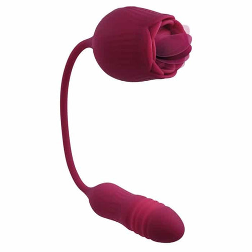 WILD ROSE image 8