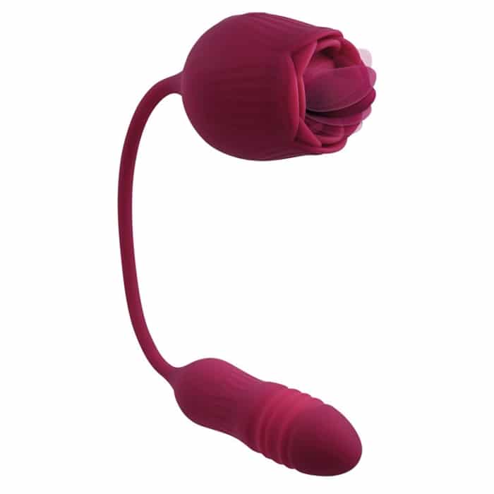 WILD ROSE image 8