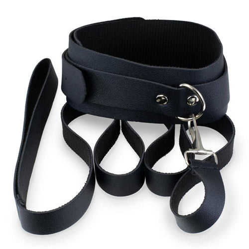 Ensemble de colliers et laisses - Noir image 0