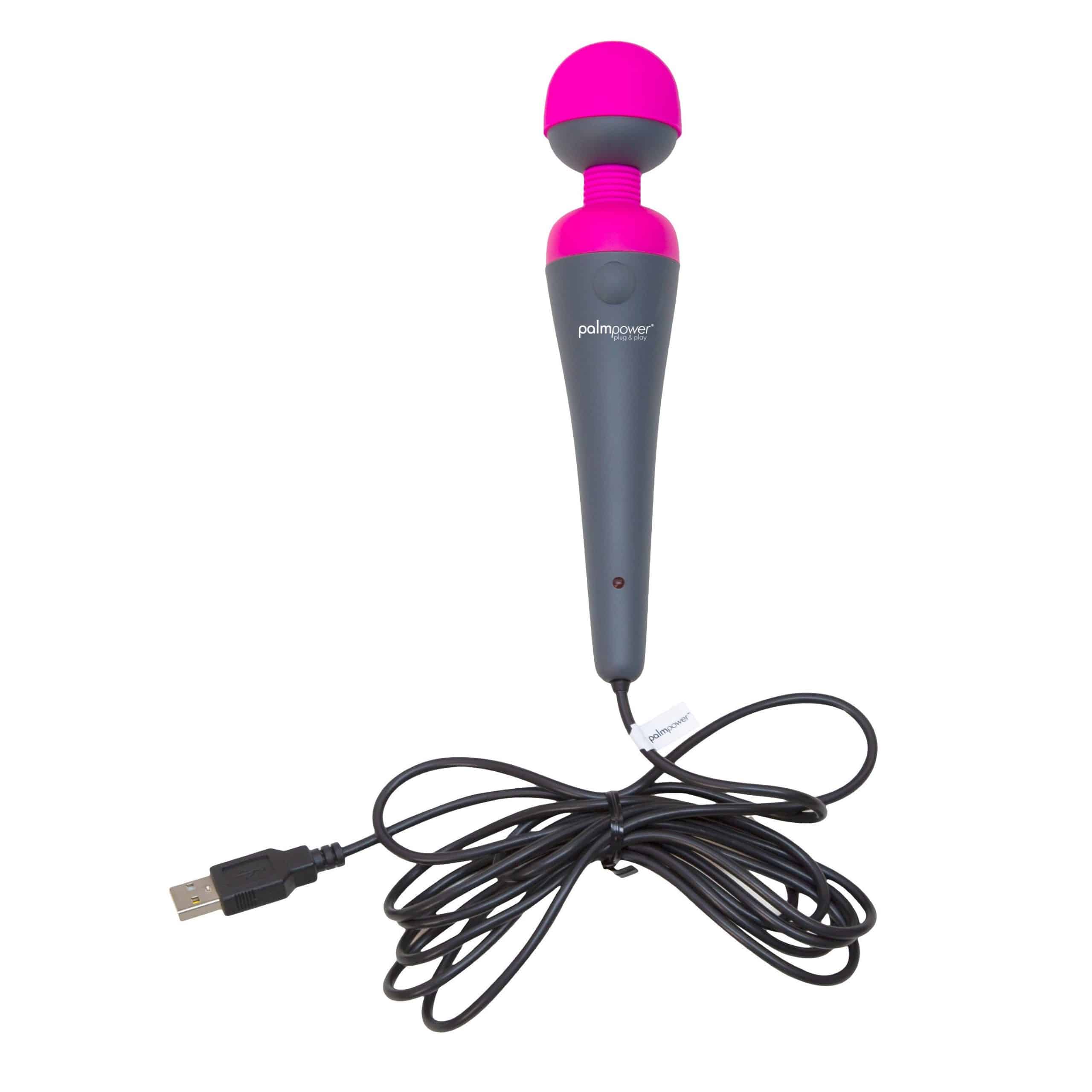 Prise PalmPower et masseur de jeu image 2