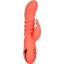 CalExotics® California Dreaming - Cutie du comté d'Orange - Orange image 0