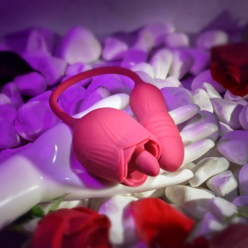 WILD ROSE image 12