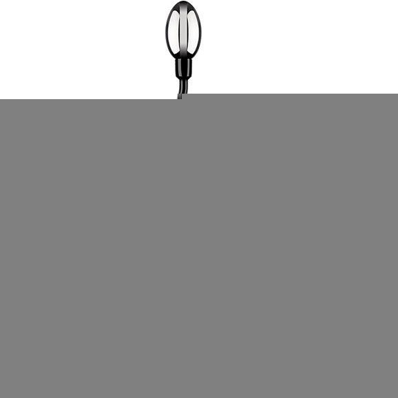 ÉlectraStim Électro-Sex Egg Tadpole Probe image 1