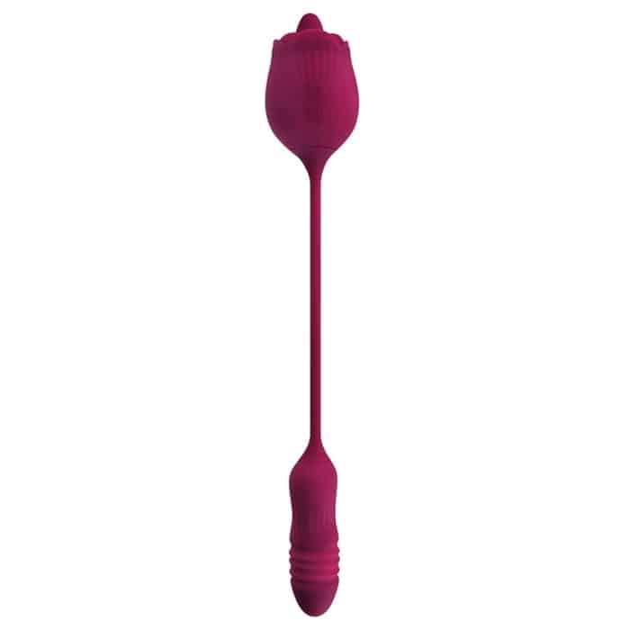 WILD ROSE image 6