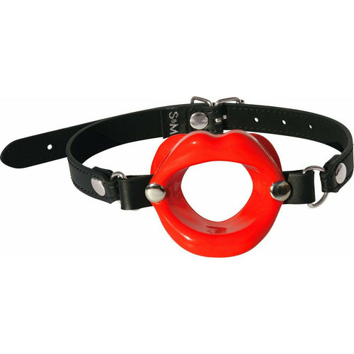 Feuilles de sport Sexe &amp; Déchirure - Silicone Lèvres Bondage Gag-Red image 0