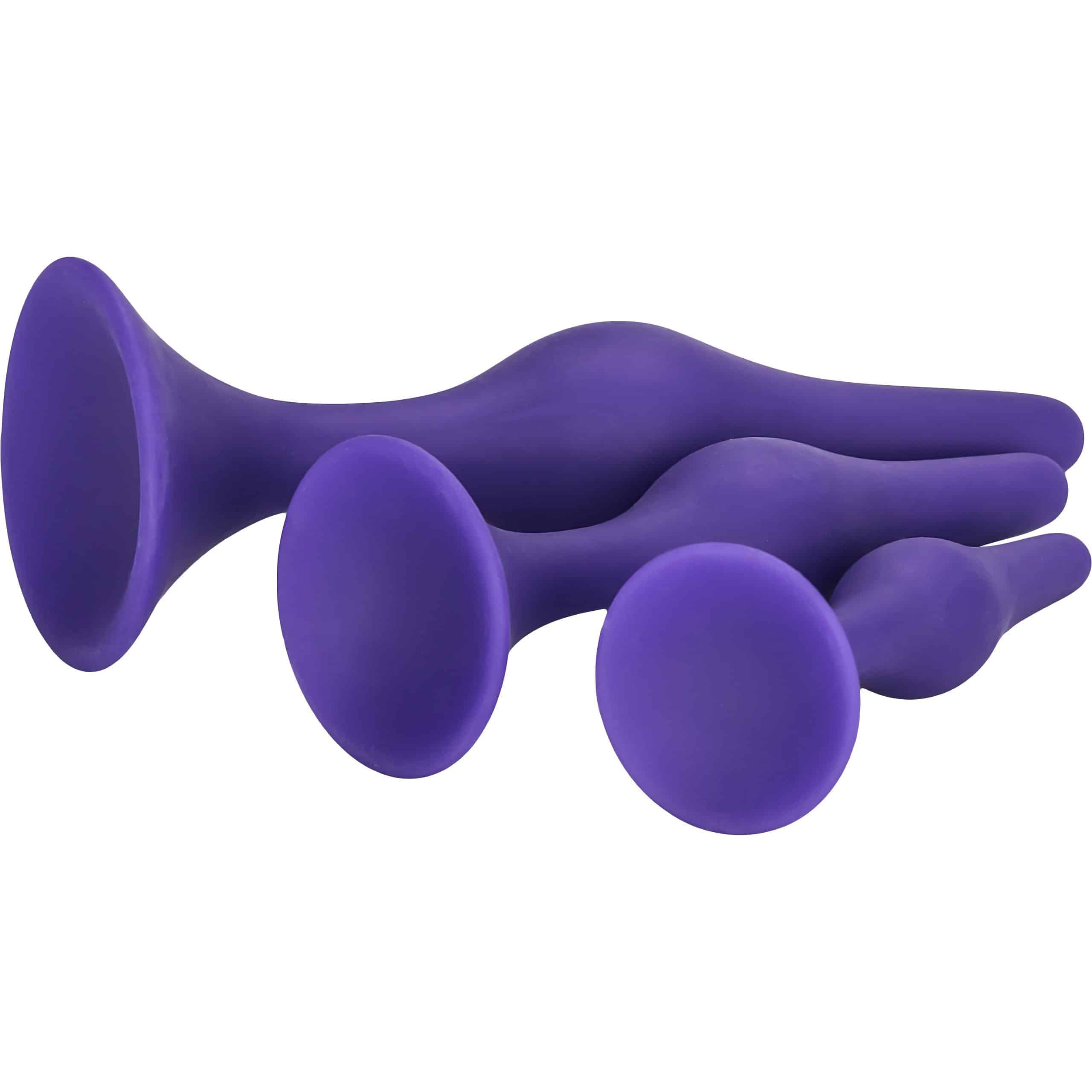 CalExotics® Booty Call Booty Training Trousse Pourpre image 0