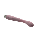 Vibromasseur étanche à double moteur pour point G avec multi-fréquences