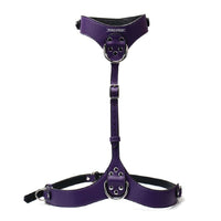 Punishment Silver Body Harness