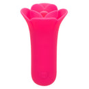 CalExotics® Bits coquins Lily Licker – Rose