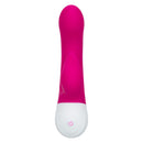 CalExotics® Essentiels Silicone liquide Rechargeable Dual Pleaser