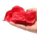Jeux de Kheper Rose Petal Sexy Surprises