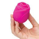 ROMP® Rose 2.0 *Nouveau