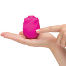 ROMP® Rose 2.0 *Nouveau