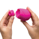 ROMP® Rose 2.0 *Nouveau