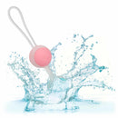 CalExotics® She-ology Interchangeable Ensemble de Kegel pondéré image 3