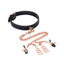 Punition Rose Or Choker &amp; Pinces Nipples image 0