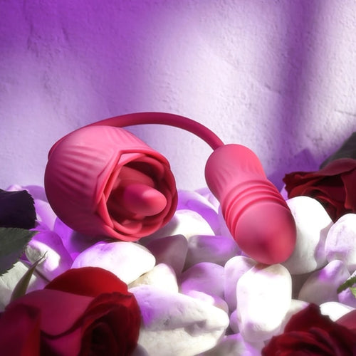 WILD ROSE image 11