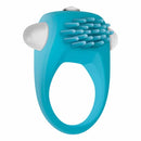 TEAL TICKLER image 4