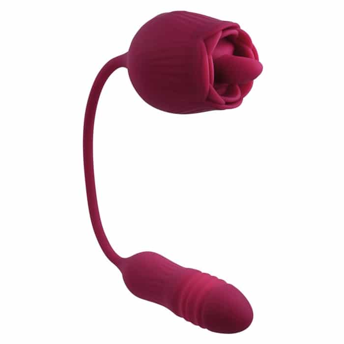 WILD ROSE image 9