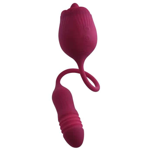 WILD ROSE image 10