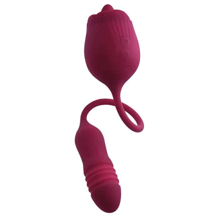 WILD ROSE image 10