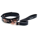 Punition Rose Or Oui Sir Collar &amp; Leash image 0