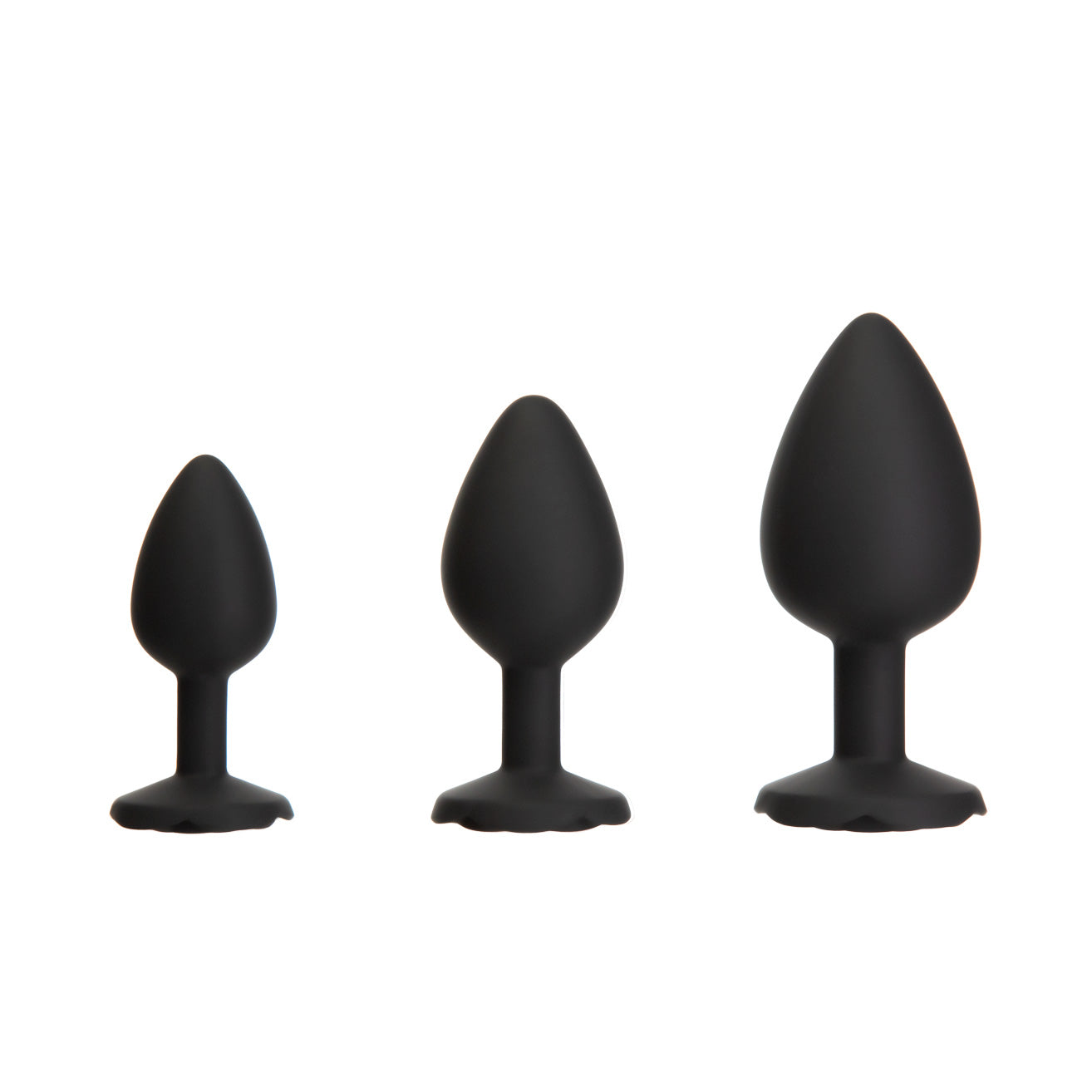 BMS – Roses Til Kit – Démarreur Trousse Noir image 0