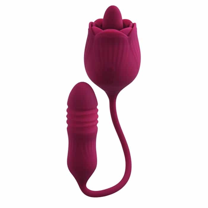 WILD ROSE image 7